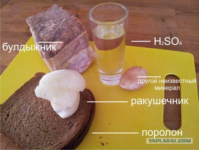 Водка, сало или...