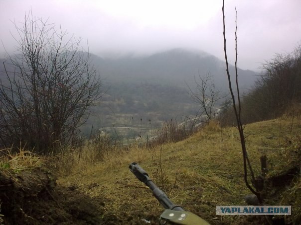 Круговорот оружия в природе