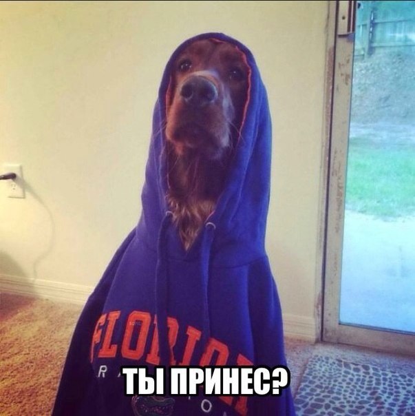 Прикольные картинки