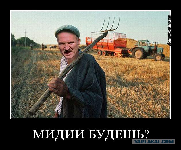 Путин согласился уничтожать санкционные продукты