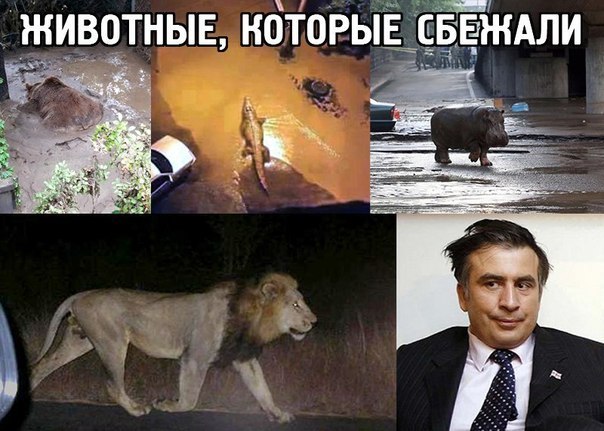 Саакашвили пообещал...