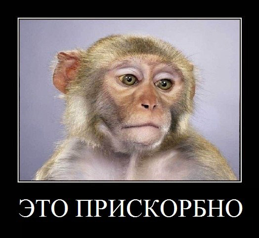 Митинг в СПб
