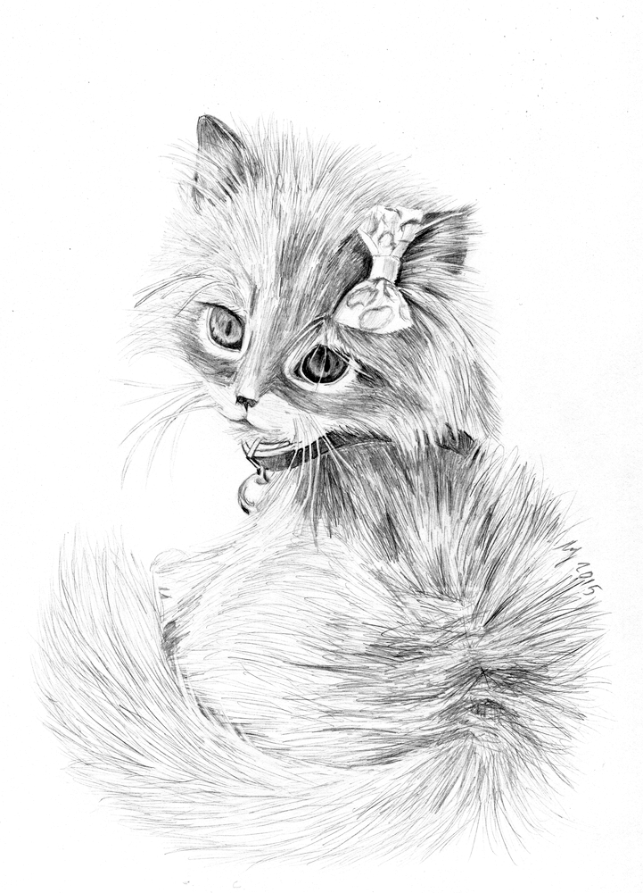Сложные рисунки котик. Кот карандашом. Котенок карандашом. Кошка рисунок карандашом. Наброски котят.