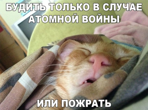 Немного картинок и демотиваторов