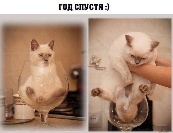 картинки на выходные