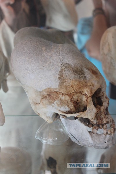 Отчет о путешествии в  Перу