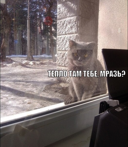 Картинки на пятницу