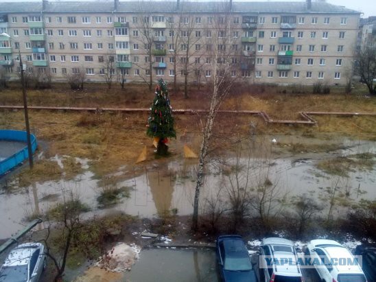 Картинки и гифки