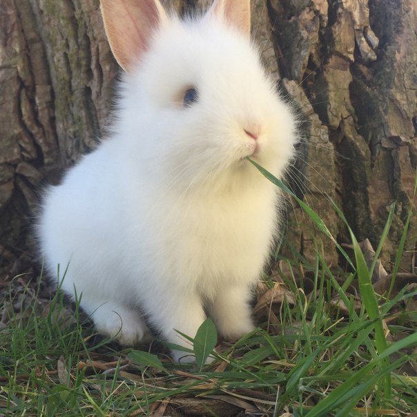 Разные картинки