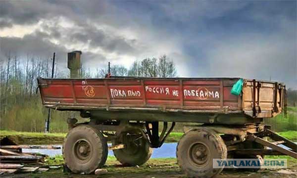 Весёлые картинки