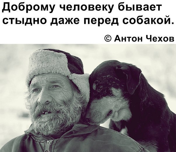 Подборка прикольных картинок