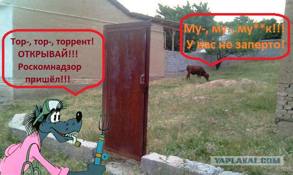 Наивный Роскомнадзор