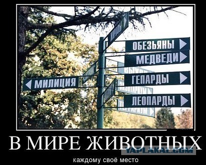 Демотиваторы на пятницу!