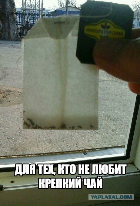 Подборка картинок 17.02.16