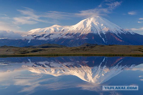 Больше, чем фото