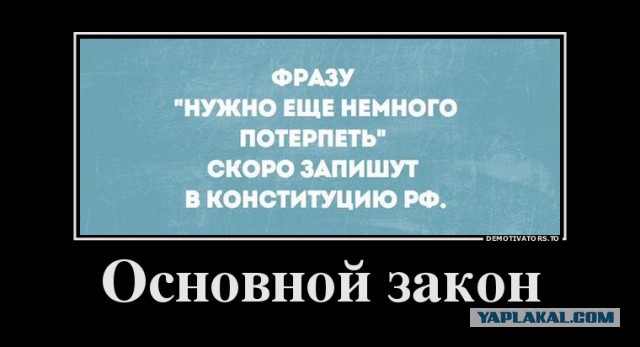 Сыт не будешь.Что делать стране с двадцатью миллионами бедняков