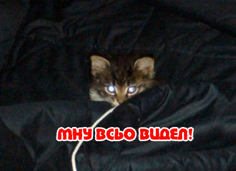Вторничный котомёт!