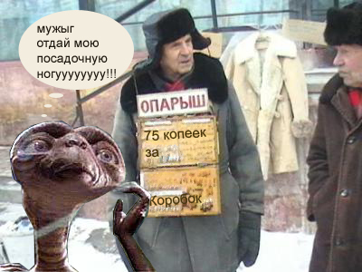 Фотожаба: Продаю матыля