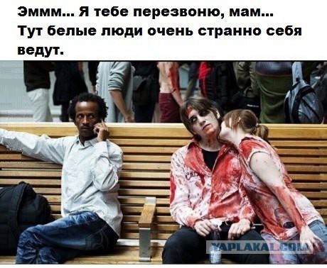 Подборка интересных и прикольных картинок