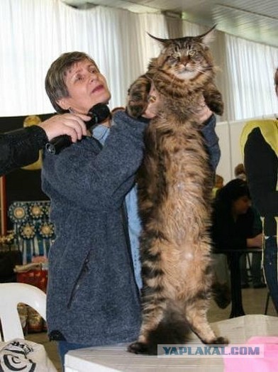 Было и стало