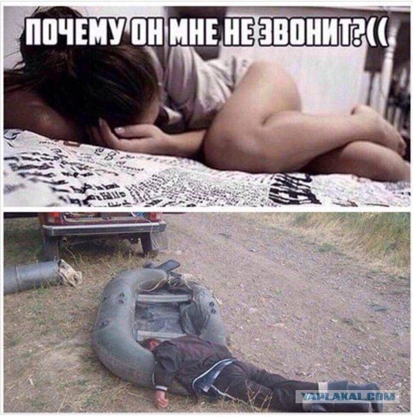 Картинки с этих ваших интернетов.