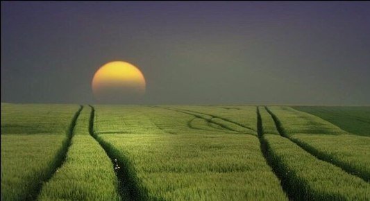 Картинки для отдыха глаз