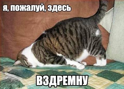 Поспать любой ценой