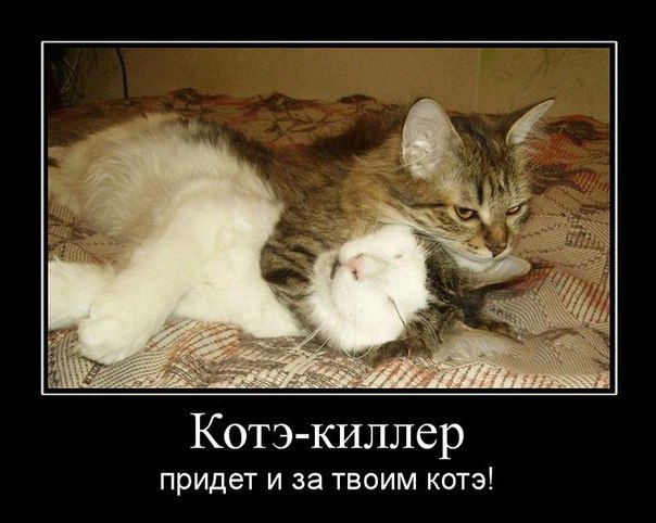 Разные картинки из сети