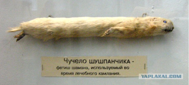 Женщины такие женщины