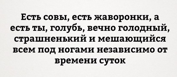 Подборка интересных и веселых картинок