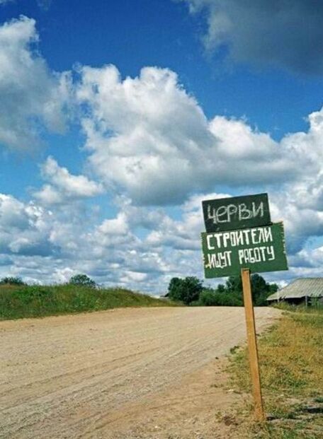 Картинки из сети