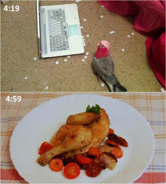 Субботняя деградация