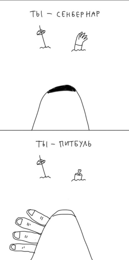 Как определить свою породу? Пособие для собак