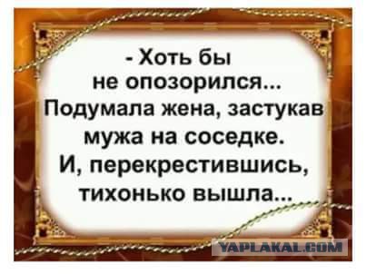Смешные комментарии из социальных сетей 22.12.2017
