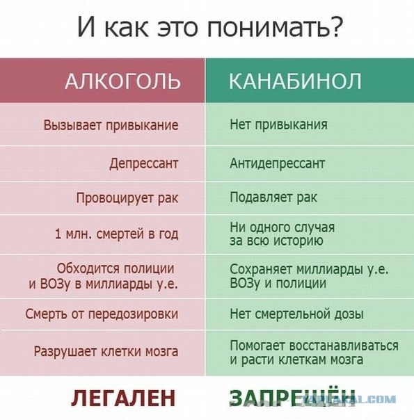 10 мифов и фактов о конопле