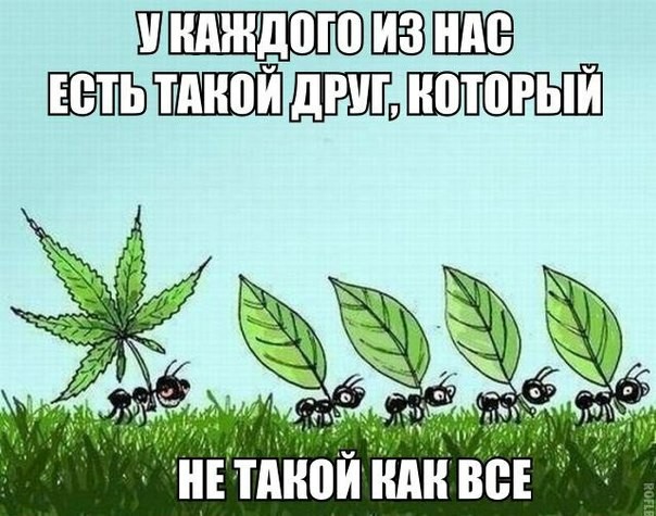 Подборка интересных и веселых картинок