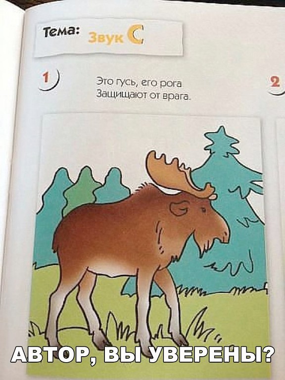 Разное из тырнэта