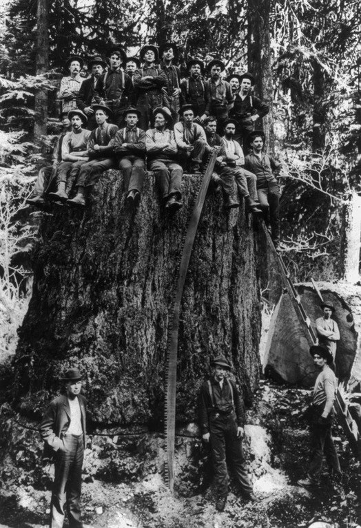 История в фотографиях