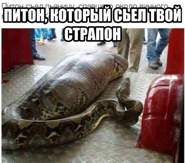 Чёрная масленица на подходе...