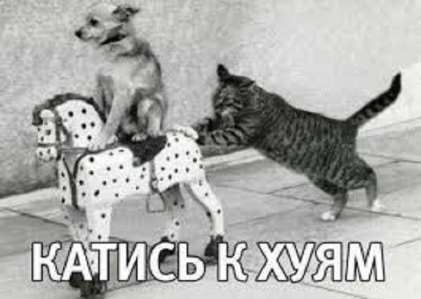 Я не знаю, что тут происходит...