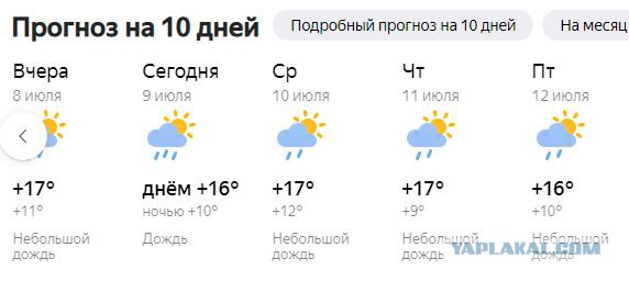 Президент РФ заявил, что в России температура растет в 2,5 раза быстрее, чем в целом на планете