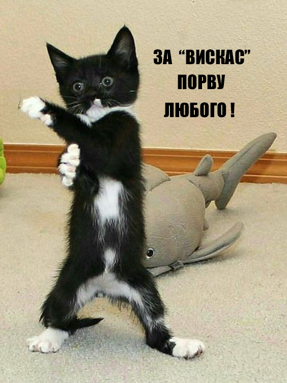 Опять подсобирал картинок к пятнице