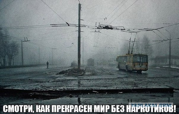 По ту сторону