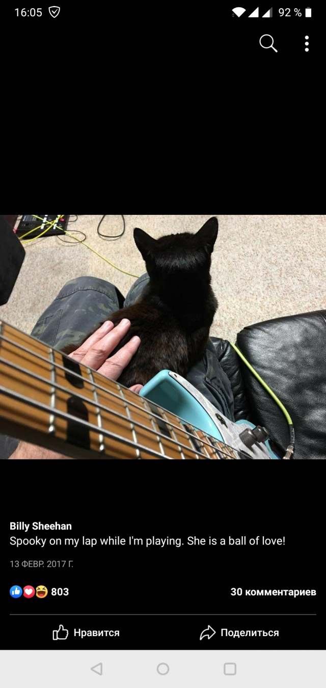 Paзнoвиднocти тьмы