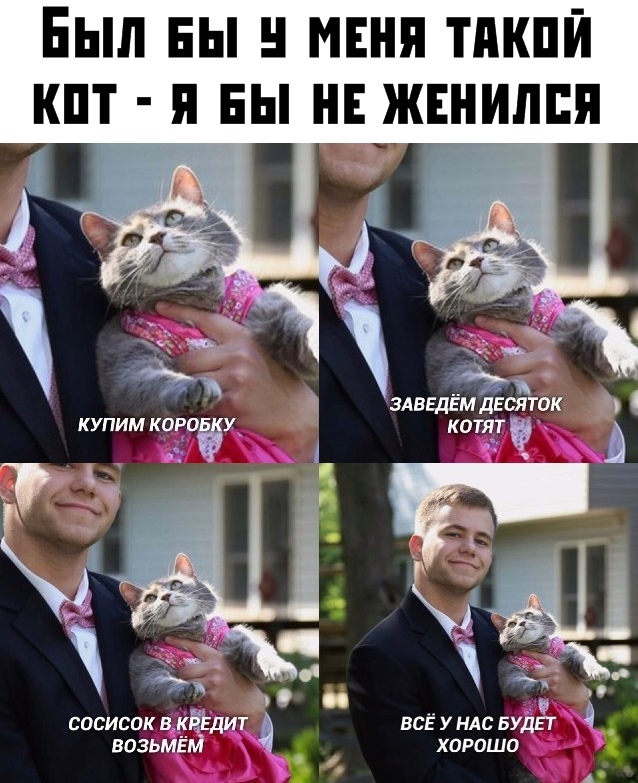 Немного картинок для настроения 29.11.19