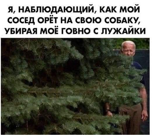 Картинки для поднятия настроения 12.01.20