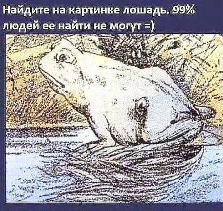 Бредзона 13.02.2020