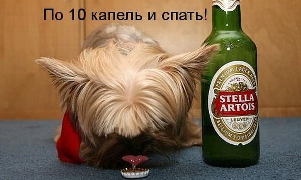 Чуток картинок.  Вечерние