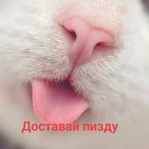 Бредзона 15.03.20