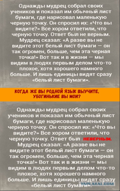 Подборка картинок 03.02.2021